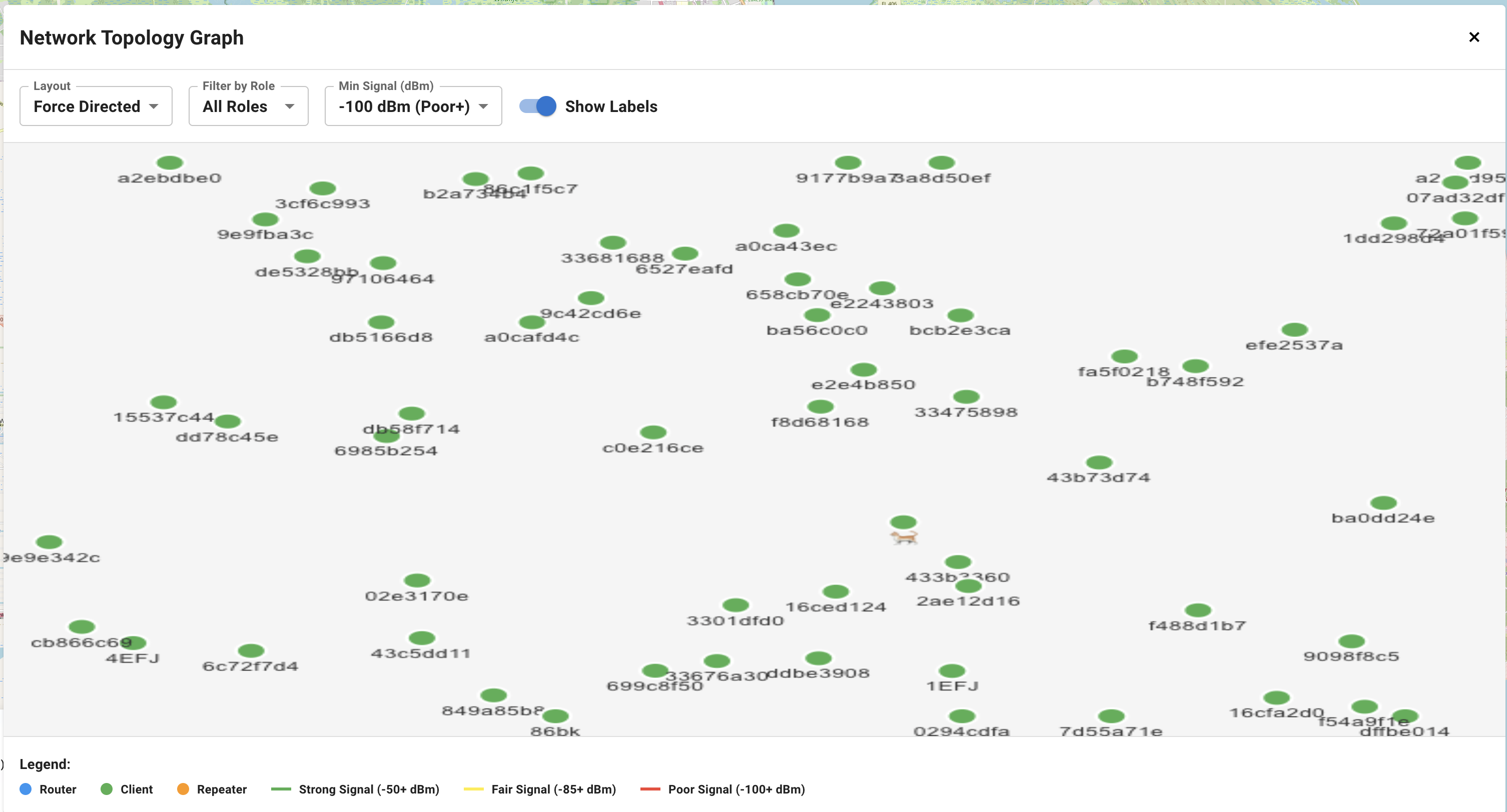Network topology visualization